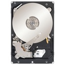 Disco Duro Seagate Constellation ES.2 ST33000650NS - 3.5" Interno - 3 TB - SATA (SATA/600)