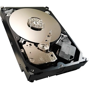 Disco Duro Seagate Pipeline HD ST3500312CS - Interno - 500 GB - SATA (SATA/300)