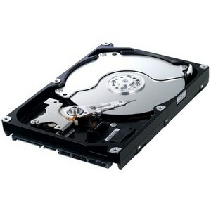 Disco Duro Samsung Spinpoint F1 HD252HJ - 3.5" Interno - 250 GB - SATA (SATA/300)