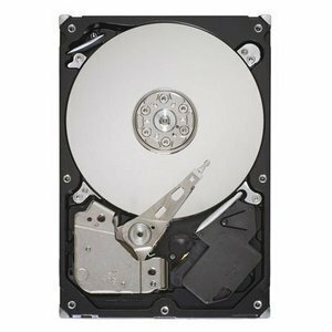 Disco Duro Seagate BarraCuda 7200.11 ST3640323AS - Interno - 640 GB - SATA (SATA/300)