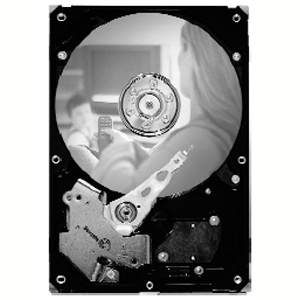 Disco Duro Seagate SV35.5 ST31000525SV - 3.5" Interno - 1 TB - SATA (SATA/300)